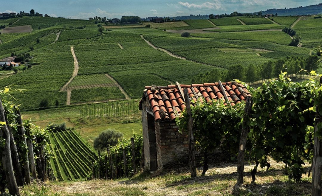 VILLA GIADA, Piemonte