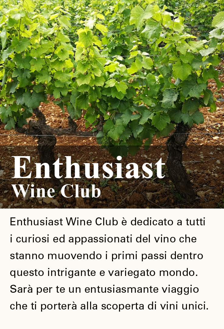 ENTHUSIAST WINES