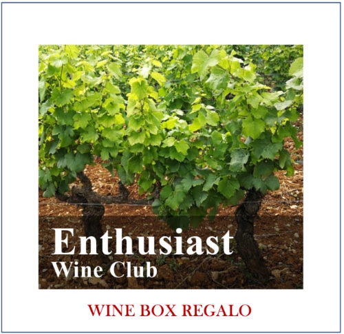 Enthusiast Wine Box 6 bottiglie