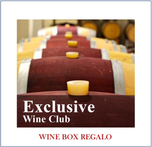 Exclusive Wine Box 6 bottiglie