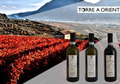 TORRE AD ORIENTE, Torrecuso, Campania ( Cantina di gennaio )