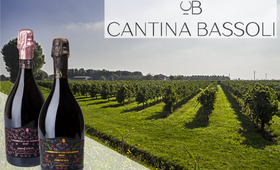 BASSOLI, Carpi, Emilia Romagna ( Cantina di febbraio )