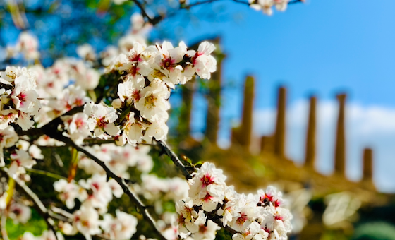 Primavera, la stagione della rinascita della natura