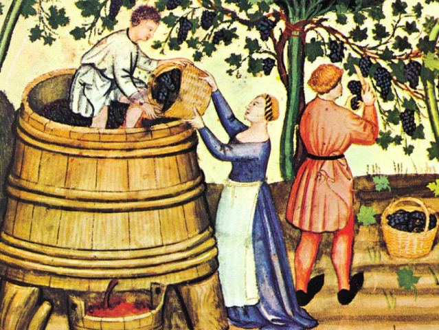 La storia del vino in Toscana