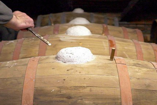 Il Vin Santo di Toscana ….