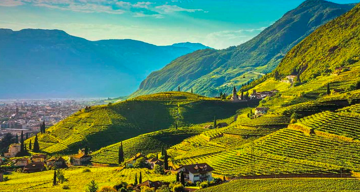 Il vino nel Trentino Alto Adige