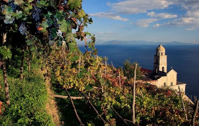 Le varietà autoctone e le tante specialità enogastronomiche della Campania