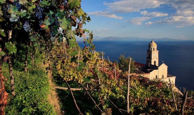 Le varietà autoctone e le tante specialità enogastronomiche della Campania