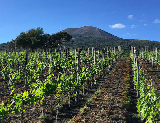 La DOC Vesuvio
