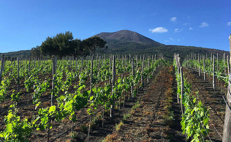 La DOC Vesuvio