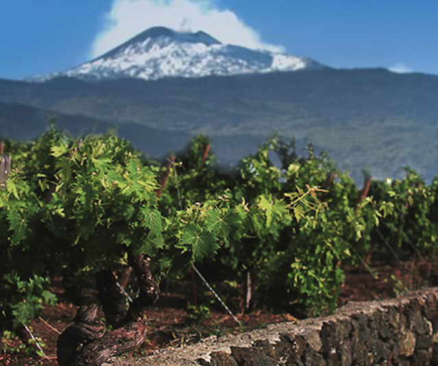 La DOC Etna