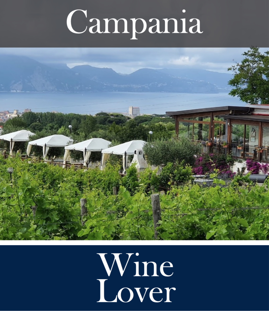 Sorrentino Wine Tour "Wine Lover"
