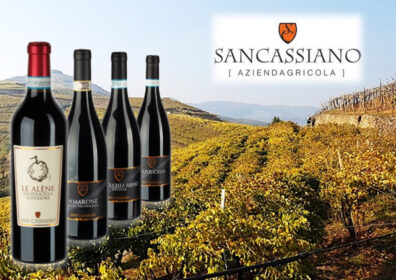 SAN CASSIANO, Mezzane, Veneto (Cantina di novembre)