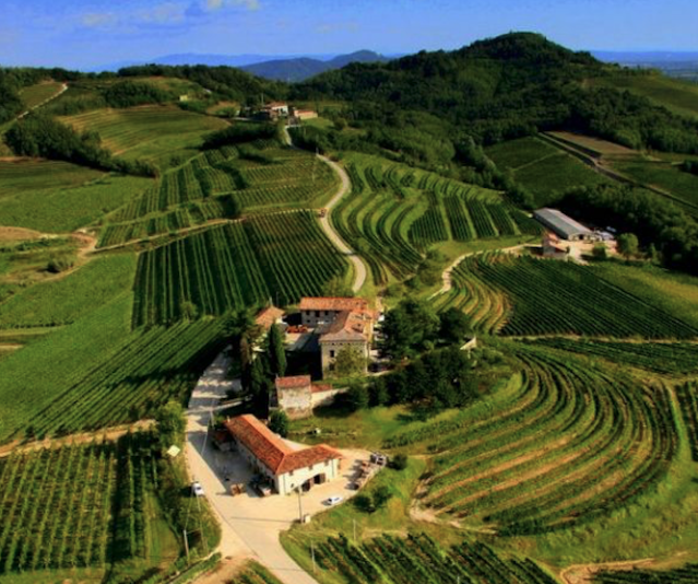 La viticoltura in Friuli-Venezia Giulia … tra romani, bizzantini ed asburgici!!!