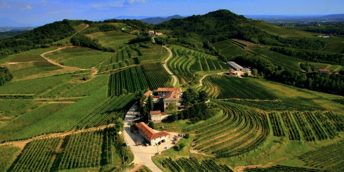 La viticoltura in Friuli-Venezia Giulia … tra romani, bizzantini ed asburgici!!!